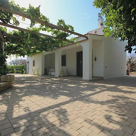 Padula فيلة